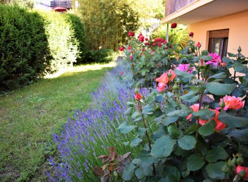 a garden with pink and purple flowers next to a house at FVH Family Vacation Heidelberg in Heidelberg