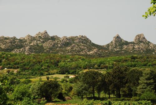 a mountain range with trees and mountains in the background at Pausania Inn in Tempio Pausania