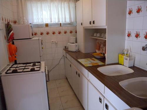シオーフォクにあるHoliday home in Siofok/Balaton 19923の小さなキッチン(シンク、冷蔵庫付)