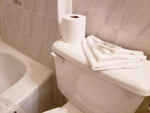 a white toilet with a roll of toilet paper on it at Olympia Motel in Niagara Falls