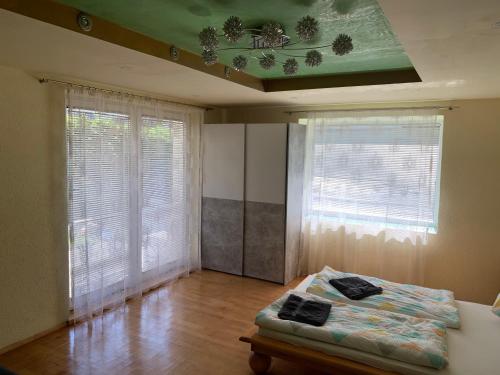 a bedroom with a bed in a room with windows at Nexi s Appartement an der Enns 9 in Radstadt