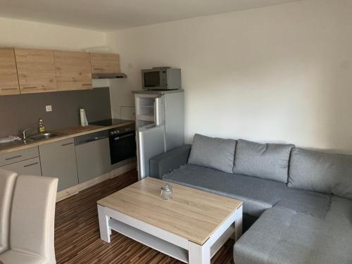 una sala de estar con un sofá y una mesa en Nexis Apartment 10, en Radstadt