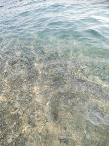 a close up of the clear water in the ocean at Eduard Lagji Apartament in Lukovë