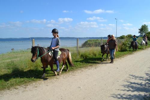 a group of people riding horses down a dirt road at Strandhof Holnis in Glücksburg