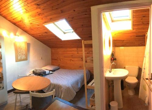 a bedroom with a bed and a sink in a room at Studio Alphabet in Chambéry