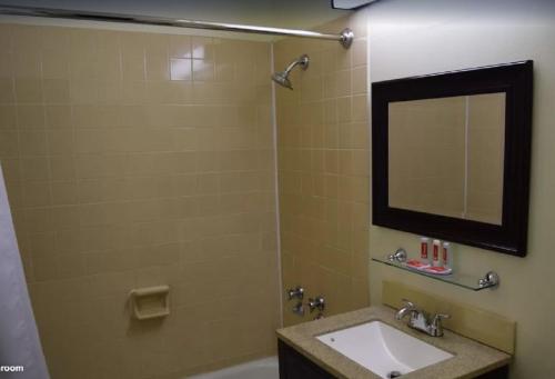 La salle de bains est pourvue d'un lavabo et d'un miroir. dans l'établissement Holiday Lodge Yakima, à Yakima