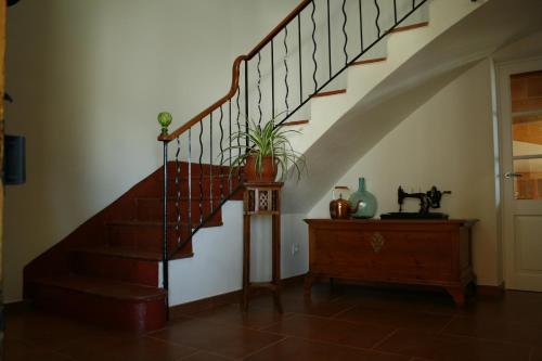 a staircase in a house with a plant on it at Hotel Rural Binigaus Vell in Es Migjorn Gran