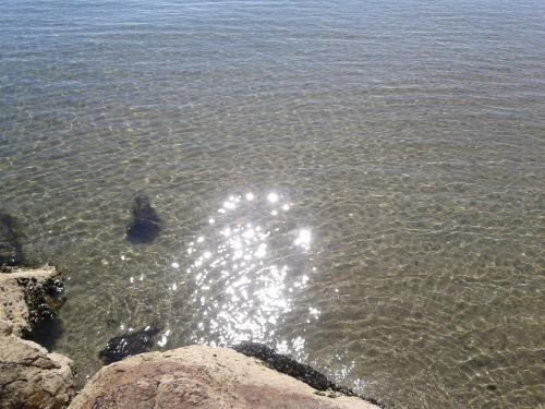 a body of water with rocks in the water at Hotel Aquila D'Oro in Misano Adriatico