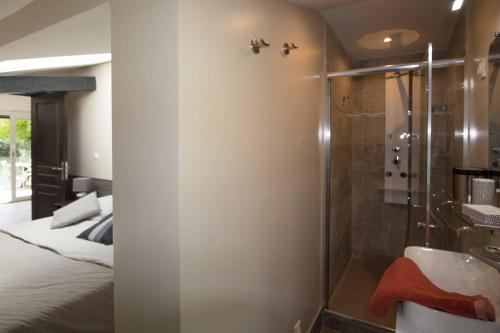 a bathroom with a shower and a bed at La Ravine au bord du loing in Montigny-sur-Loing