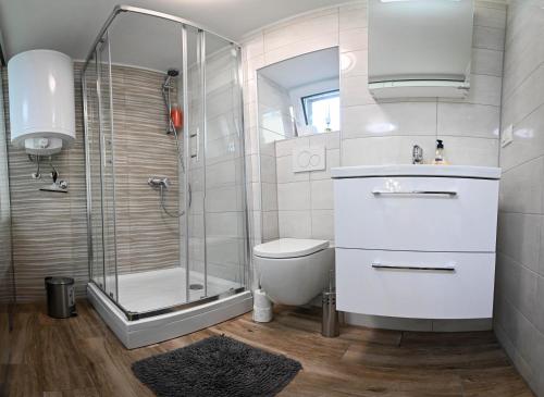 a bathroom with a shower and a toilet and a sink at CASA AX in Maribor