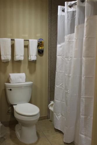Ένα μπάνιο στο Holiday Inn Express Tehachapi by IHG