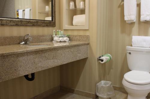 ein Bad mit einem Waschbecken und einem WC in der Unterkunft Holiday Inn Express Tehachapi, an IHG Hotel in Tehachapi