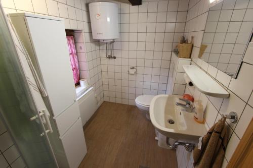a bathroom with a sink and a toilet at Homestay Kapl in Ledinek