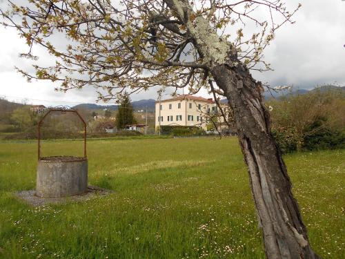 Jardí fora de Casa Margherita