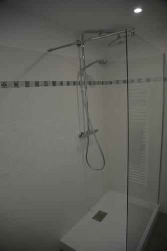 a shower with a glass door in a bathroom at la maison du saussoy in Saint-Augustin