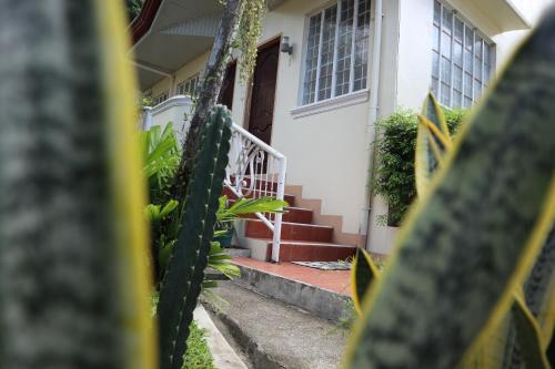 a house with a cactus in front of it at RQS Hostel in Tacloban