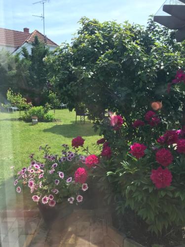 Сад в Dadas Bed & Breakfast