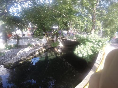 a view of a pool of water in a park at Villa Vasiliki in Palioúras