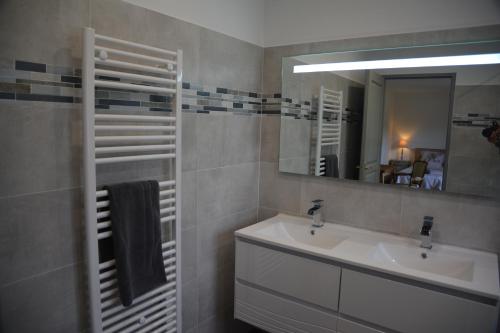 uma casa de banho com um lavatório e um espelho em la maison du saussoy em Saint-Augustin