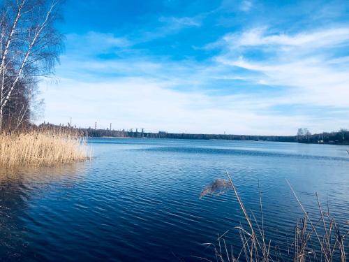 a view of a large body of water at WHITE HOUSE - silesian loft apartment in Dąbrowa Górnicza