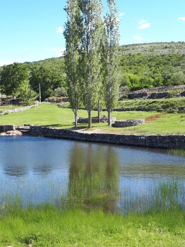 a pond with trees in the middle of a field at The Olive Garden in Šibenik