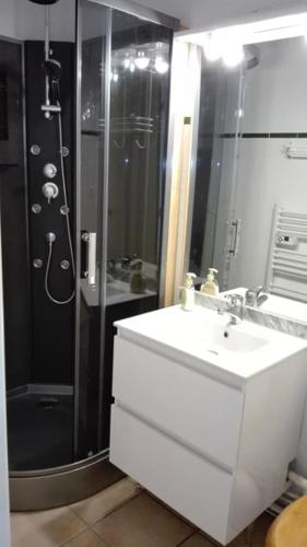 La salle de bains est pourvue d'un lavabo et d'une douche. dans l'établissement Charmant T2 avec cabine fermée et terrasse, aux Angles