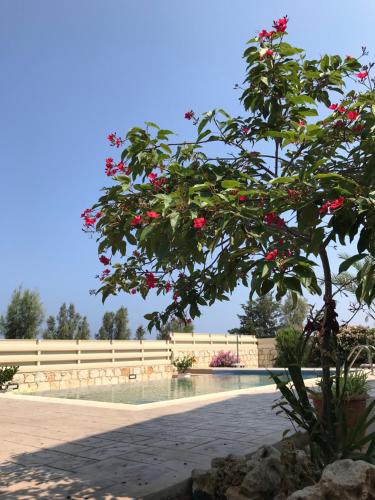 Ein Garten an der Unterkunft Savvas Villa