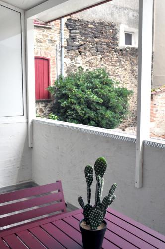 a cactus sitting on a porch next to a bench at Ibanova Appartements in Collioure