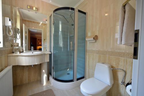 a bathroom with a shower and a toilet and a sink at Casablanca Pokoje i Apartamenty in Kazimierz Dolny