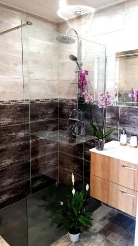 une salle de bain avec une douche avec un lavabo et un miroir dans l'établissement La Rose Allass, à Grand-Village-Plage