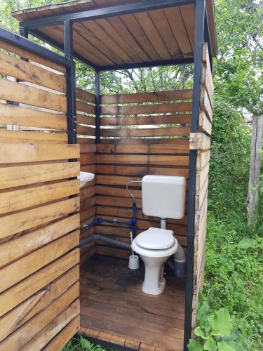 a bathroom with a toilet in a wooden structure at Retezat Retreat - wood cabin in Clopotiva