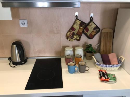 Virtuvė arba virtuvėlė apgyvendinimo įstaigoje Apartman Sofia