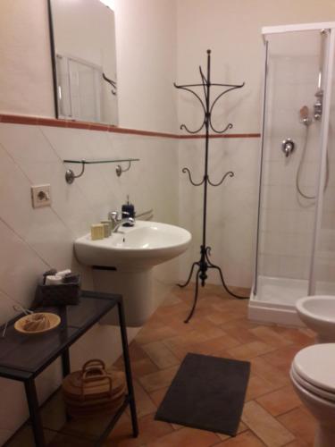 y baño con lavabo, ducha y aseo. en Agriturismo Fattoio alle Ripe - Frantoio, en SantʼEllero