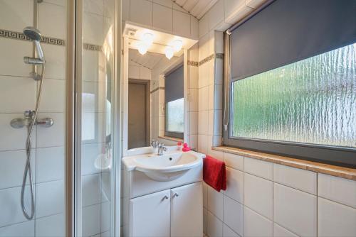 ein Bad mit einem Waschbecken und einer Dusche in der Unterkunft Ferienpark Grafschaft Bentheim in Uelsen