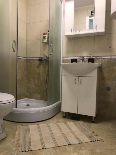 ein Badezimmer mit Waschbecken, Dusche und Toilette in der Unterkunft Apartman Sofia in Vrnjačka Banja