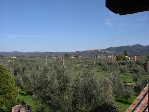 Galeriebild der Unterkunft Agriturismo Greppo All'olivo in Donoratico