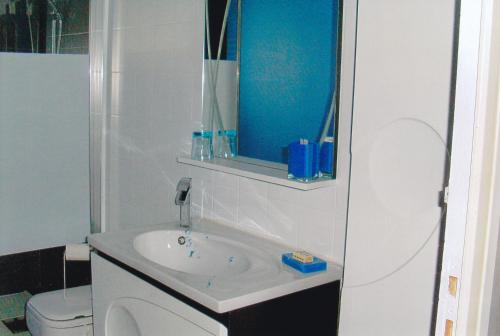 La salle de bains est pourvue d'un lavabo et de toilettes. dans l'établissement chambre d'hotes a nérac, à Nérac