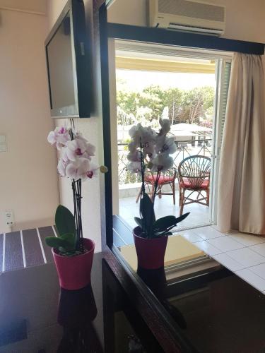 Gallery image of Hotel Kalamitsi Apartments in Preveza