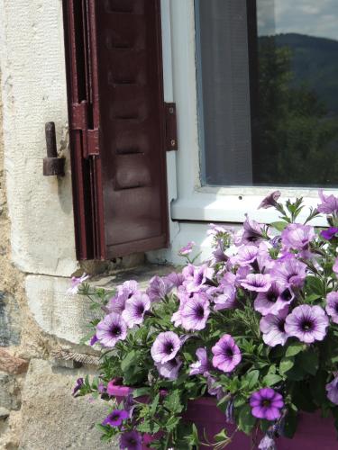 Κήπος έξω από το La Bastide d'Amalthée