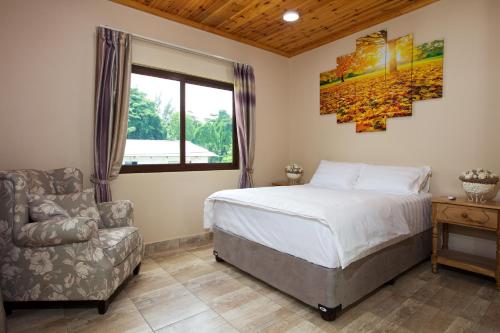 een slaapkamer met een bed, een stoel en een raam bij Stone Self Catering Apartment in Grand'Anse Praslin