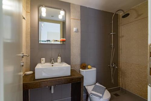 een badkamer met een wastafel, een toilet en een spiegel bij Almirikia in Pigianos Kampos
