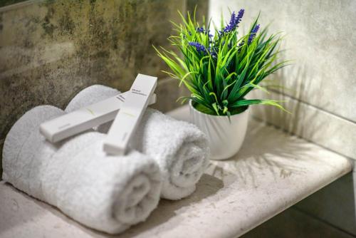 umywalkę w łazience z dozownikiem ręczników i rośliną w obiekcie Hotel Padelidaki w mieście Tríkala