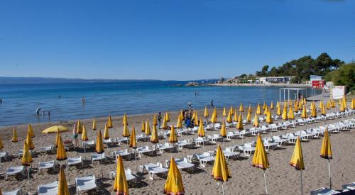 a bunch of yellow umbrellas and chairs on a beach at Spartion Marine in Split
