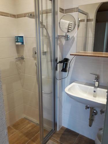 a bathroom with a shower and a sink at Ferienwohnung Hohengaßner in Mariapfarr