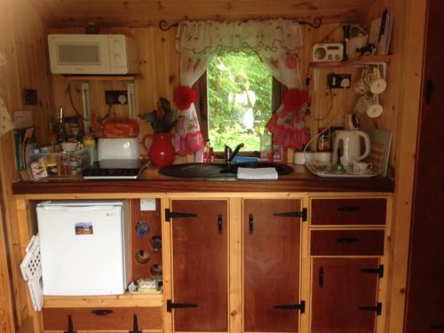 A cozinha ou cozinha compacta de 'Morris' the shepherd's hut with woodland hot tub