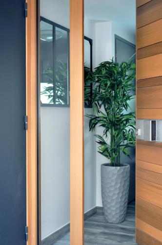 a plant in a pot sitting next to a door at Ibanova Appartements in Collioure