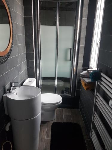 a bathroom with a shower and a toilet and a sink at Ilot Désille in Boulogne-sur-Mer