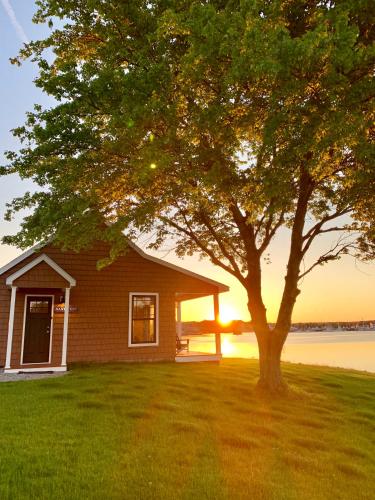 a house with a tree next to a lake at Harbor View Landing in Mystic
