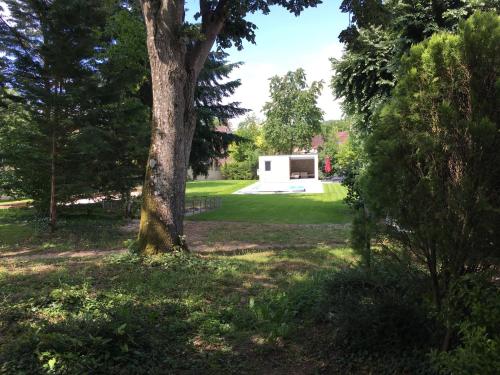a tree in a park with a white building at Le charme d'othe in Bellechaume