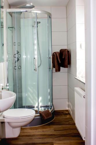 a bathroom with a shower and a toilet and a sink at Pension zum Hecht in Schemmerberg